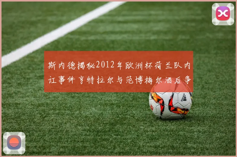斯内德揭秘2012年欧洲杯荷兰队内讧事件亨特拉尔与范博梅尔酒后争执内幕
