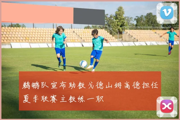 鹈鹕队宣布助教戈德山姆高德担任夏季联赛主教练一职